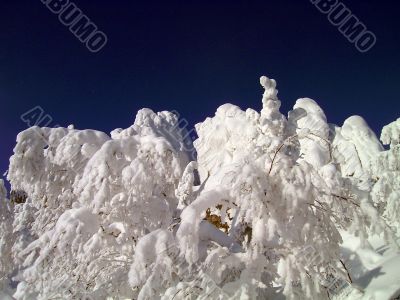 winter in mountains, forest, rocks