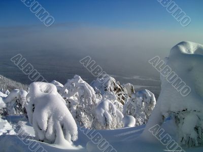 winter in mountains, forest, rocks