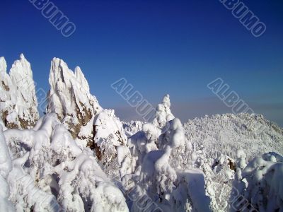 winter in mountains, forest, rocks