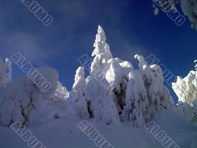 winter in mountains, forest, rocks