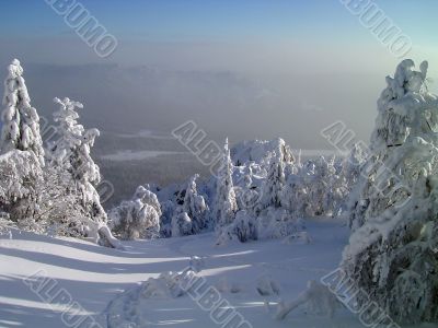 winter in mountains, forest, rocks