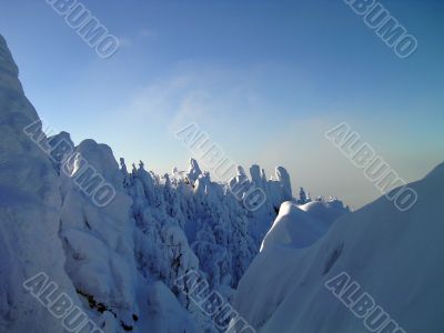 winter in mountains, forest, rocks