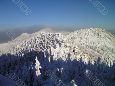 winter in mountains, forest, rocks