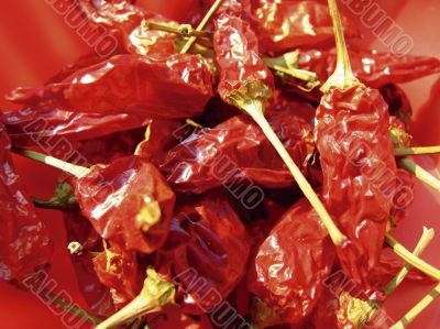 Red peppers