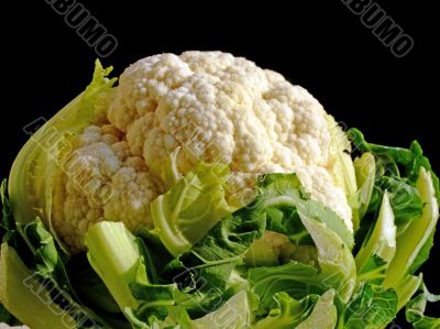 Cauliflower