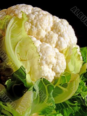 Cauliflower