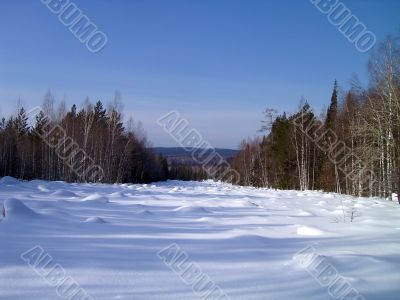 winter in mountains, forest