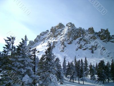 winter in mountains, rocks, woods