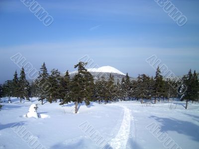 winter in mountains, rocks, woods