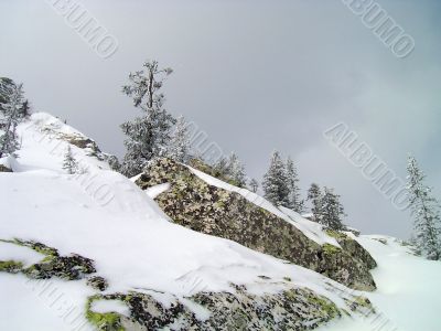 winter in mountains, forest, rocks winter in mountains, forest, rocks