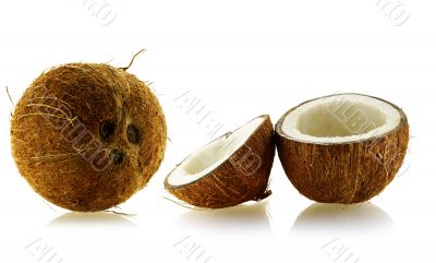 set of whole and cut coconuts