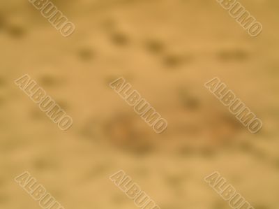 sandy background