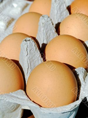 Fresh eggs