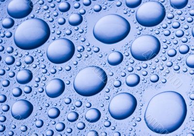 Water Water