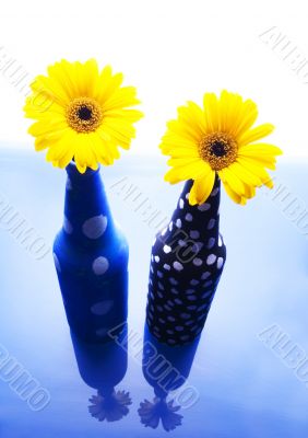 Colourful flowers Colourful flowers