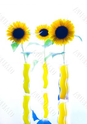 Flowers Flowers