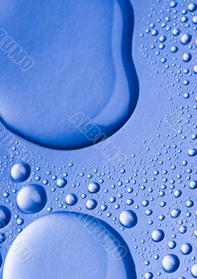 Fresh & Wet Fresh & Wet
