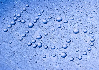 Fresh & Wet Fresh & Wet