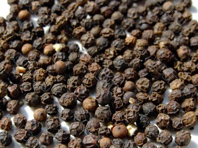 Black pepper