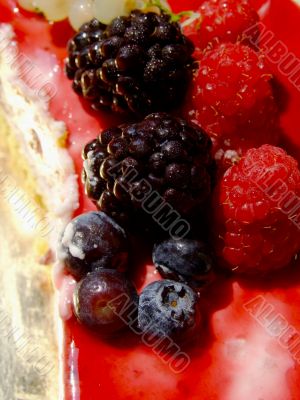 Cheese cake with berries