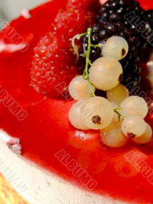 Cheese cake with berries