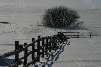 Snowy valley