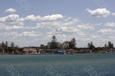 Morning at Forster