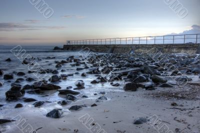 Morning at Forster