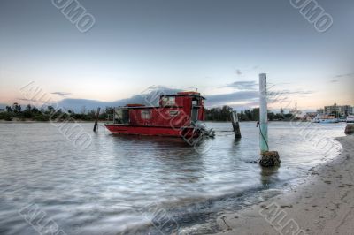 Morning at Forster