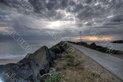 Morning at Forster