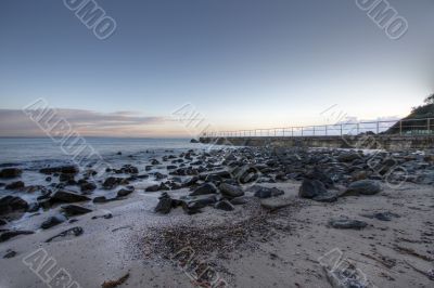 Morning at Forster