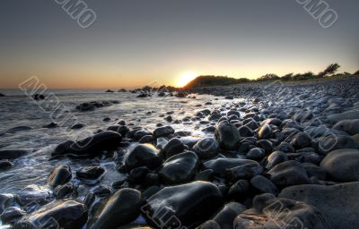 Morning at Forster