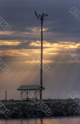 Morning at Forster