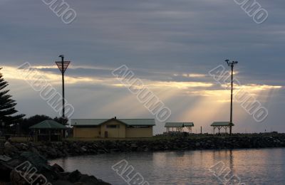 Morning at Forster