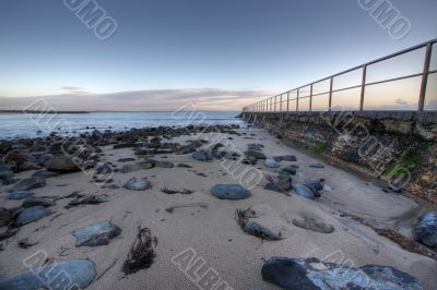 Morning at Forster