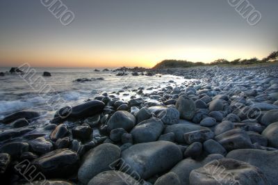 Morning at Forster