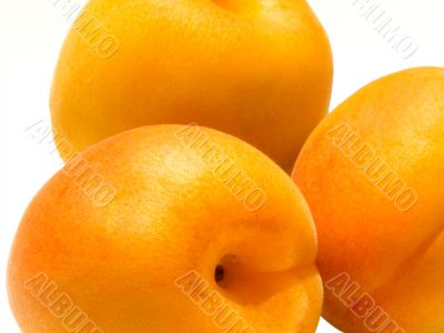 Apricots