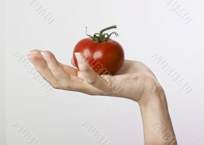 Tomato on hand