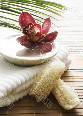 decor zen orchid decor zen orchid