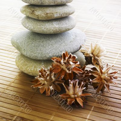 decor zen decor zen