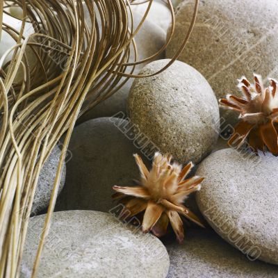 Stones and flowers arrangement