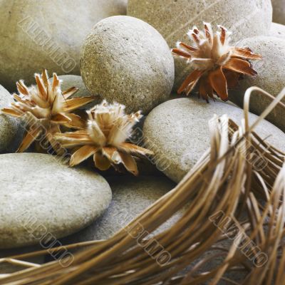 Stones and flowers arrangement