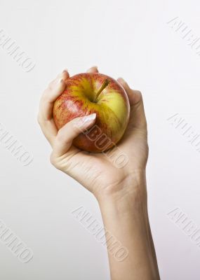 Hand gripping apple Hand gripping apple