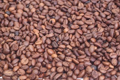 Coffe Coffe
