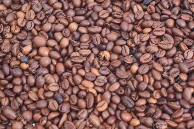 Coffee Coffee