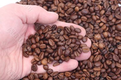 Handful of coffee