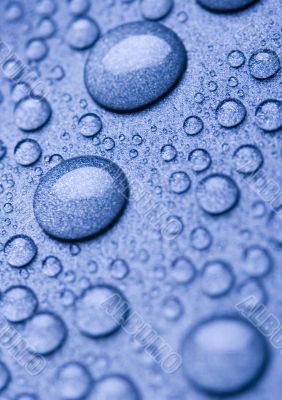 Water Water