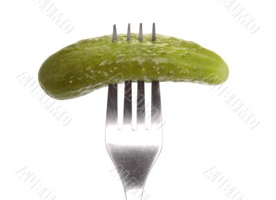 Salted cucumber on fork