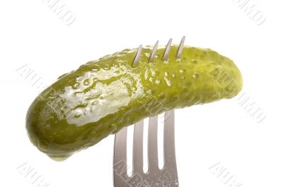 Salted cucumber on fork