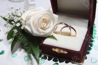 Wedding rings and rose Wedding rings and rose